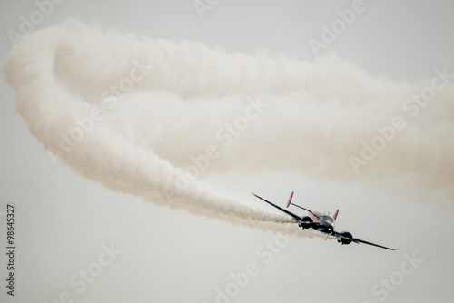 Twin Beach 18 Stunt Plane