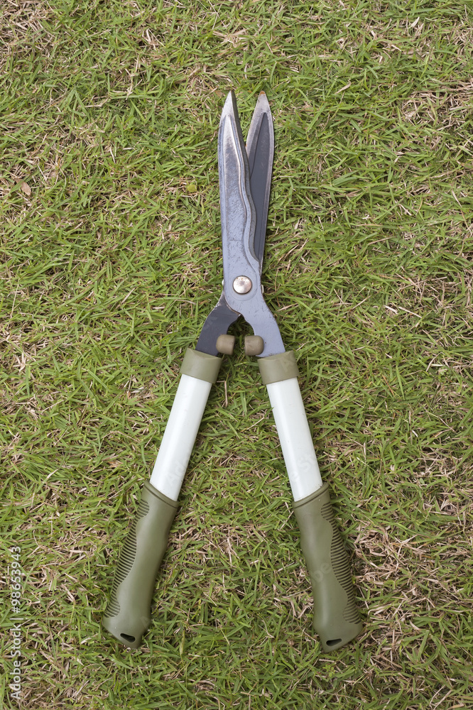 Obraz premium gardening scissors