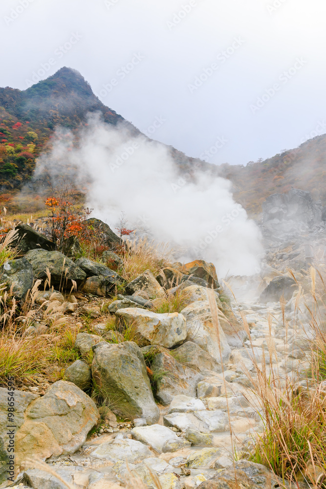 Fototapeta premium steam middle of hill in Japan