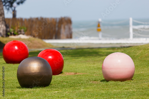 color Balls on yard