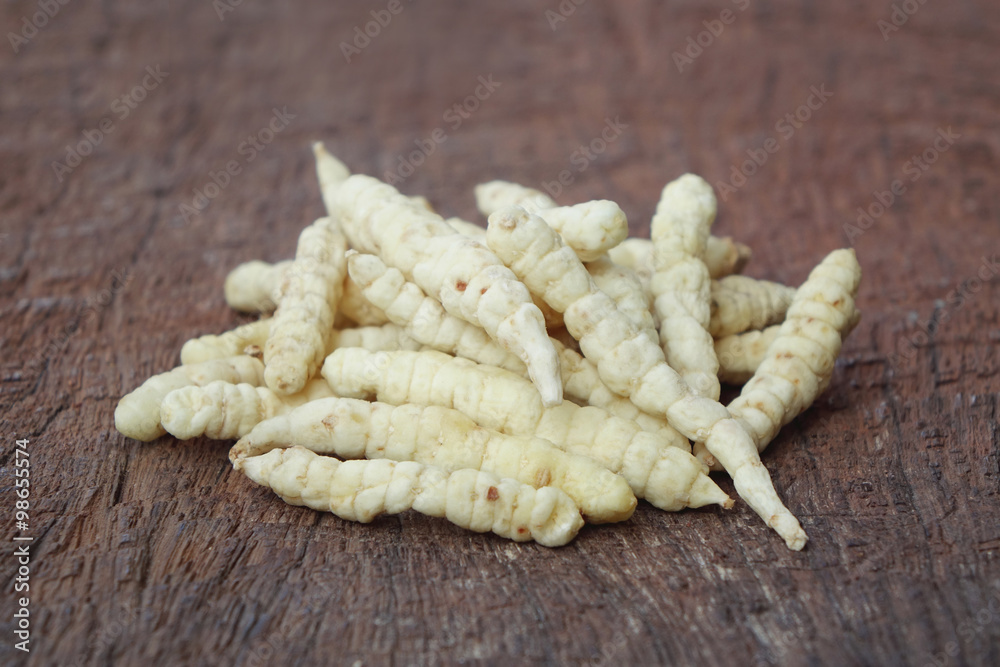 Cultivated Cordyceps