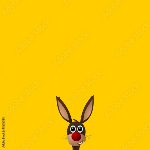 Hase