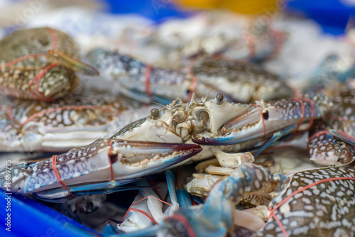 Fresh crabs at local Thai Market