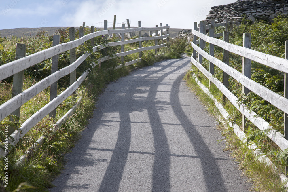 Obraz premium Pathway with Wooden Fence, Ireland
