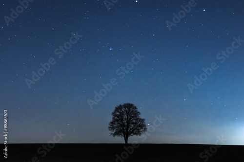 Ein einzelner Baum bei Nacht unter einem faszinierenden Nachthimmel voller Sterne © were