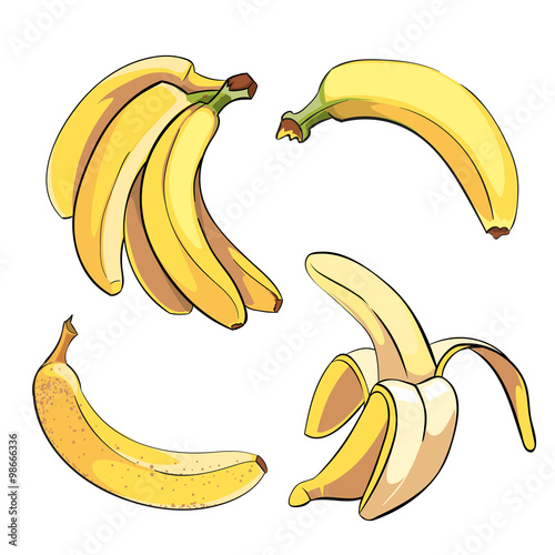 Bananas vector set in cartoon style