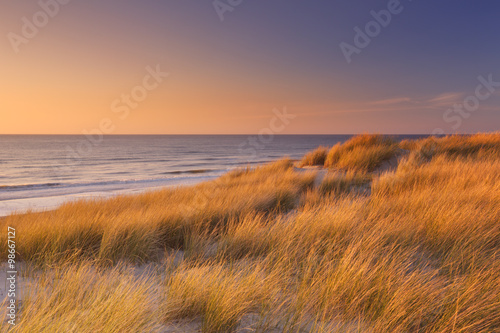 Dunes and beach at sunset on Texel island, The Netherlands
