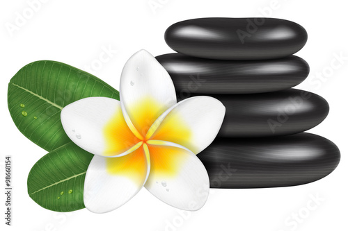 Photo-realistic vector illustration of spa stones and a frangipani flower with leaves.