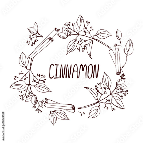 Herbs and Spices Collection - Cinnamon