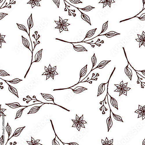 Herbs and Spices Collection - Cinnamon