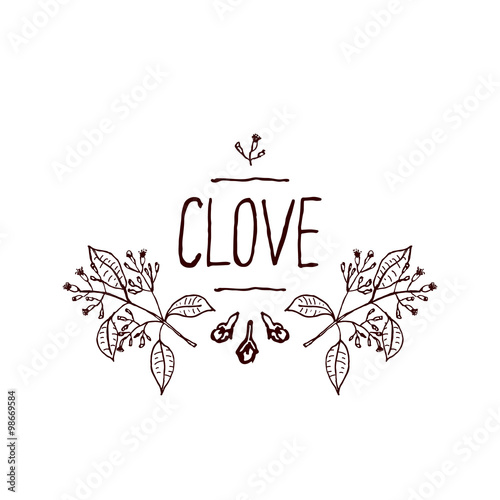 Herbs and Spices Collection - Clove