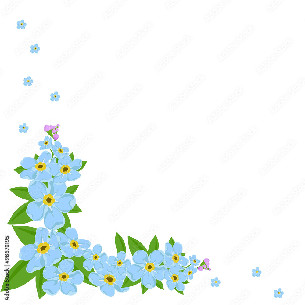 Forget-me- not corner on the wite  background with copy space for your text. Vector illustration