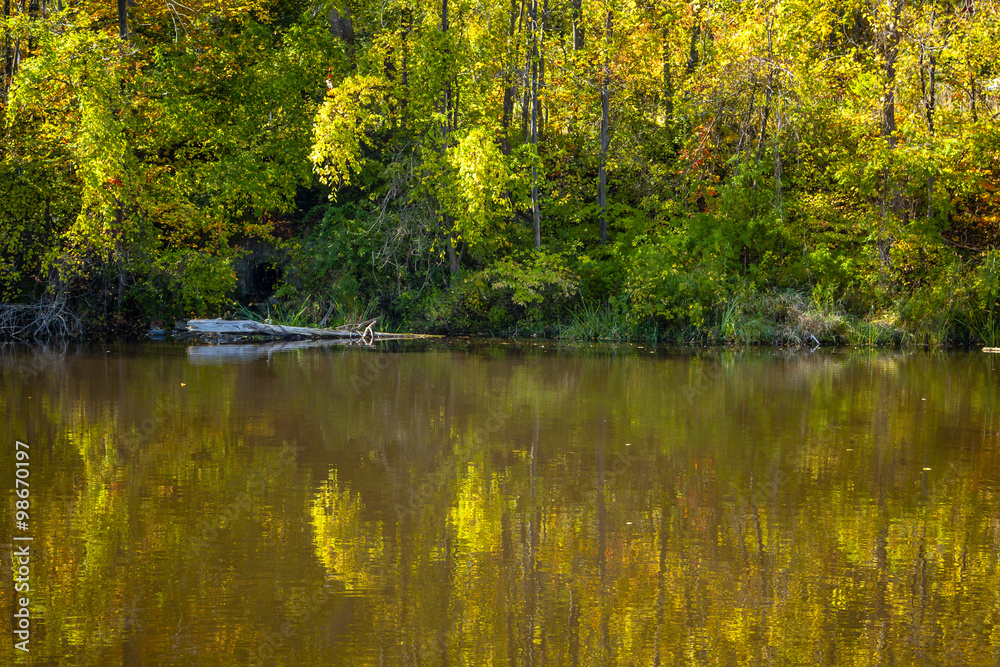 Reflections of Fall Foliage in Still Water