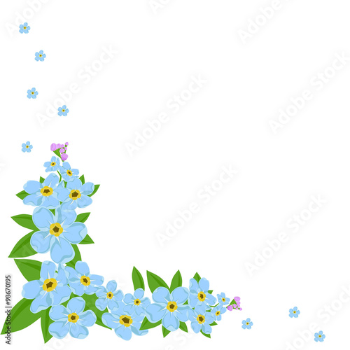 Forget-me- not corner on the wite  background with copy space for your text. Vector illustration