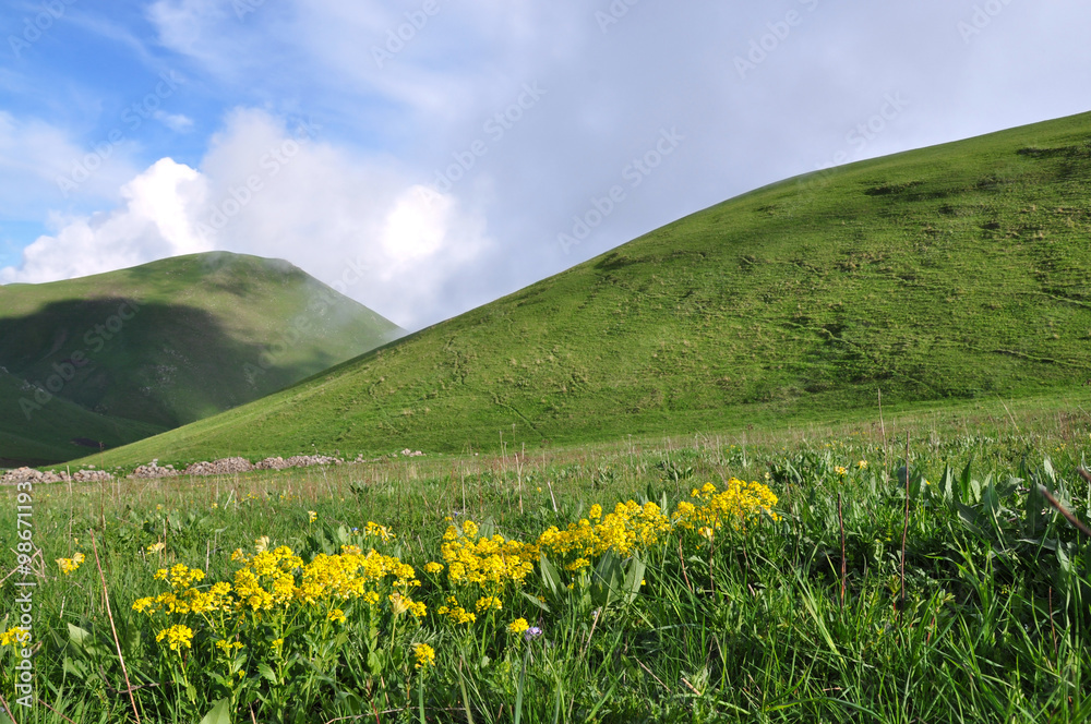 Blooming mountainside. Armenia