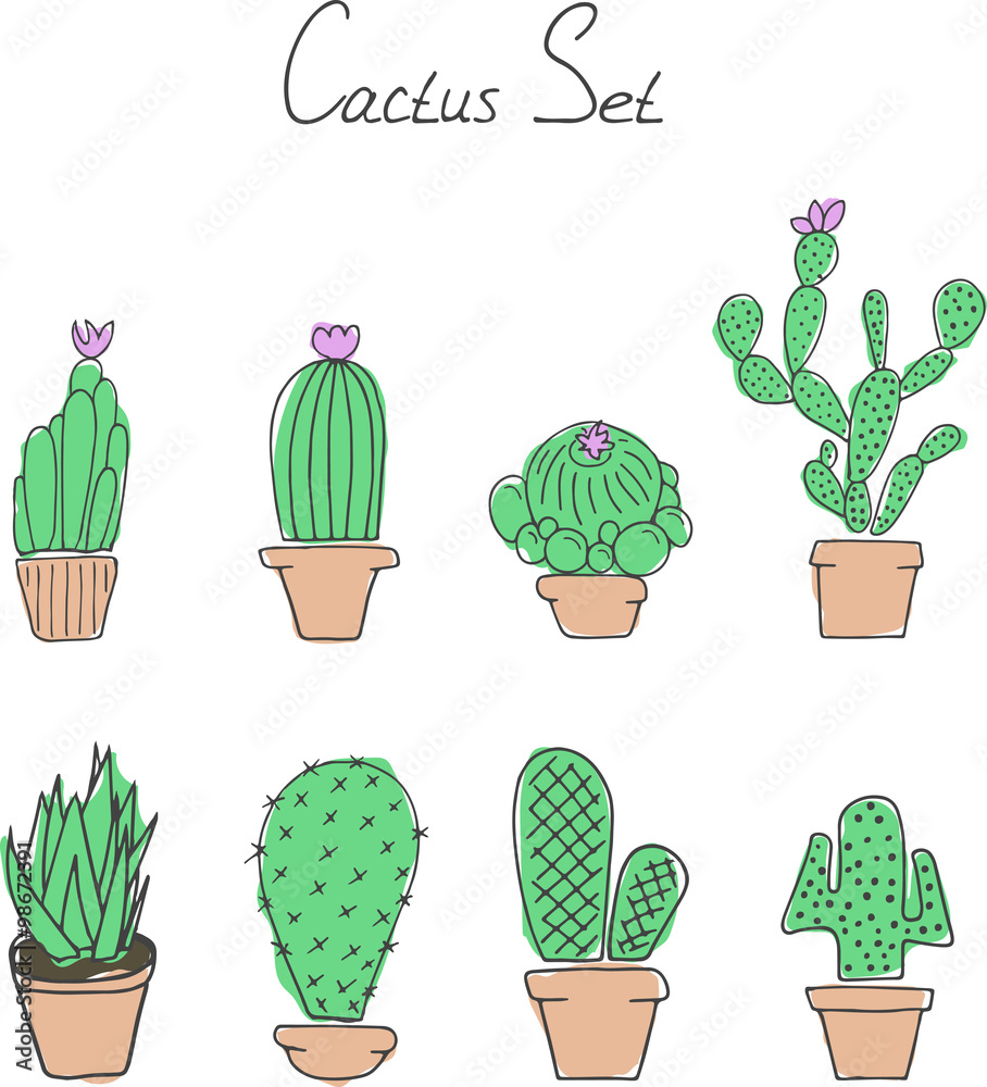 Set cactuses in the pots