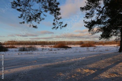 Wallpaper Mural Снежное поле зимним солнечным вечером Torontodigital.ca