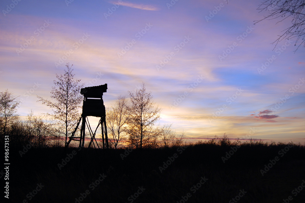 Fototapeta premium Ambona myśliwska
