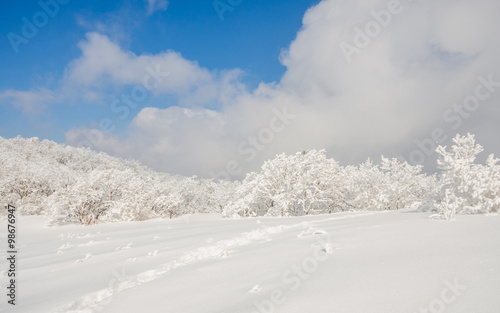 Winter landscape white snow of Mountain in Korea.