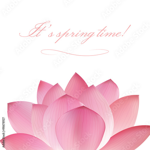 pink lotus flower on white background. Oriental japanase,chinese or indian pattern.
