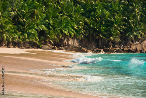 Tropical beach at Mahe island Seychelles