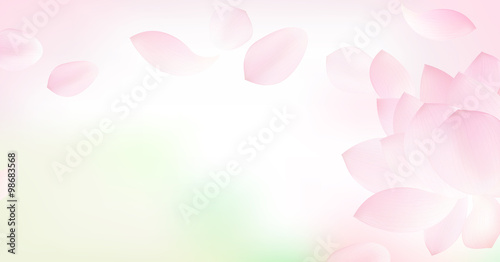Fototapeta Naklejka Na Ścianę i Meble -  White background with pink peta l of lotus