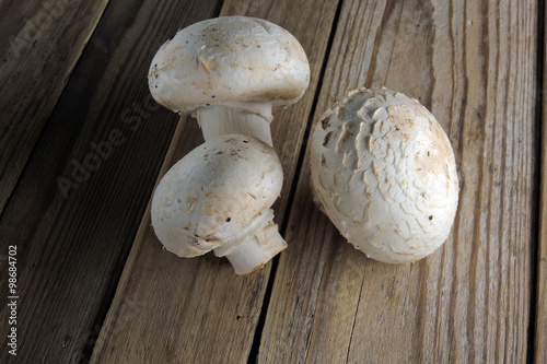 mushroom on wooden background