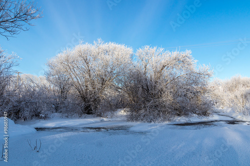зимняя панорама заснеженного леса с замерзшим ручьем, Россия, Урал