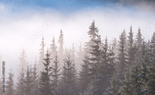 Fog on the mountain