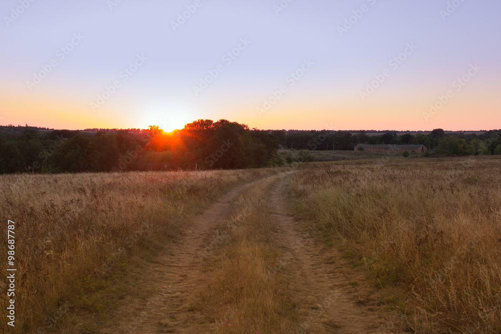 yellow field with a forked footpath at sunset yellow field with a forked footpath at sunset