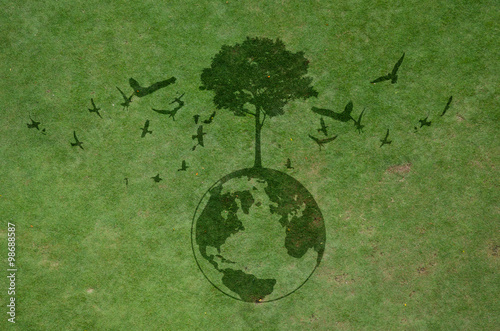 dark shadow of growing tree plant on earth sphere map graphic around with flying birds, on green dirt grass background. ecology concept