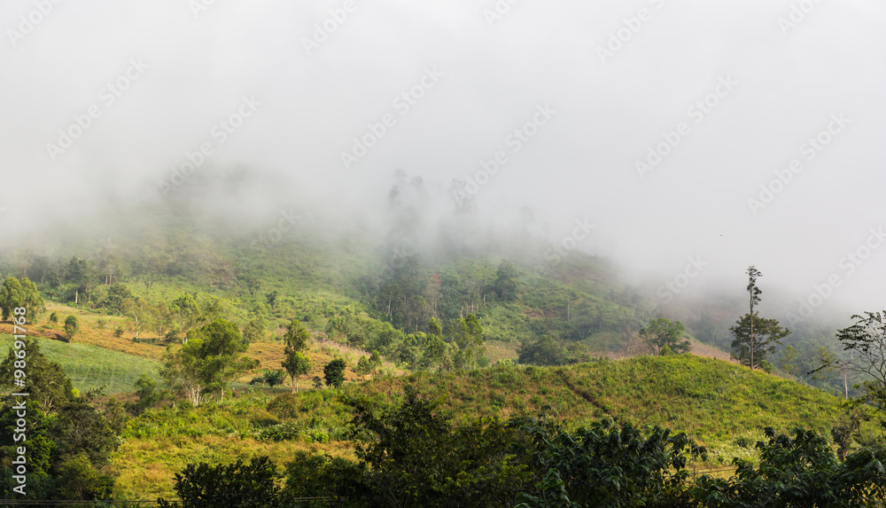 Foggy mountain landscape from bird's eye view