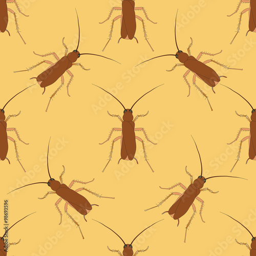 Seamless pattern with cockroach. blattella germanica   hand-drawn cockroach. Vector