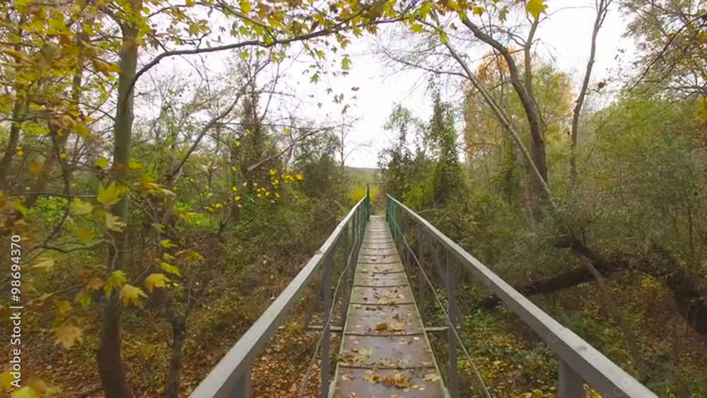 bridge over the river in the forest, hiking in the forest, going over river on bridge bridge over the river in the forest, hiking in the forest, going over river on bridge