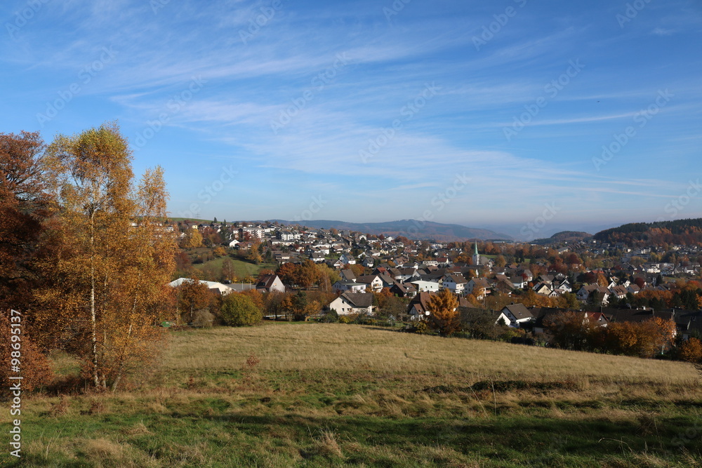 Fototapeta premium Herbstdorf