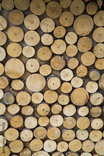 Wood log pile background