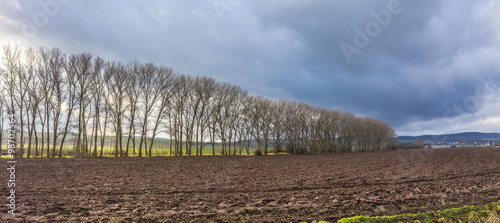 skyline of rural area in Thuringia, Bad Frankenhausen photo