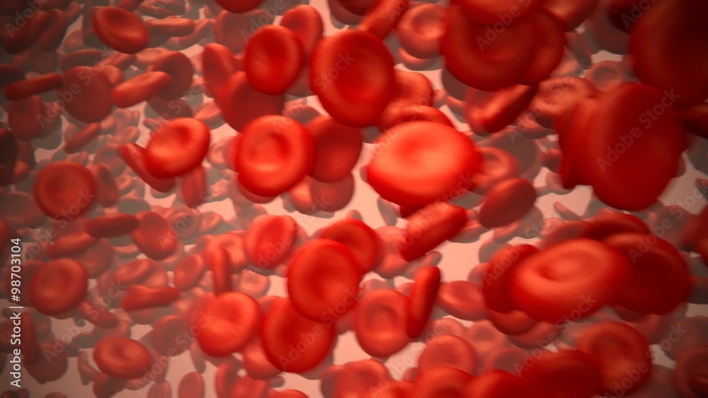 Close up of the red blood cells flowing in the artery. Life in the blood vessel.