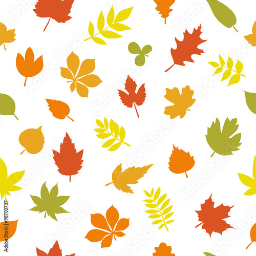 Seamless pattern with colorful autumn leaves on white background