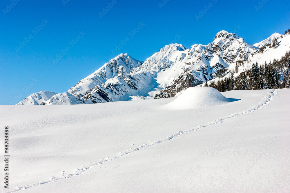 Snowy landscape
