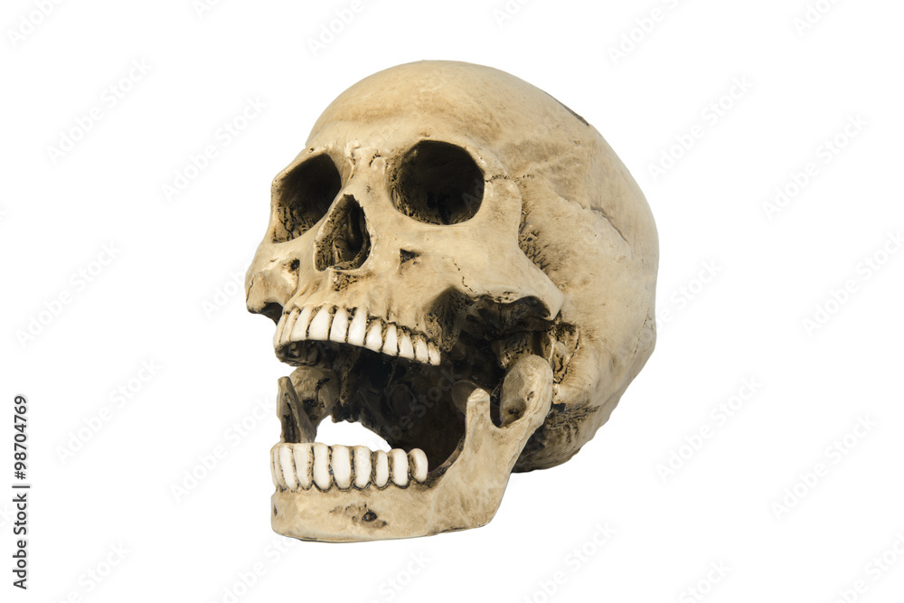 Fototapeta premium skulls on white background