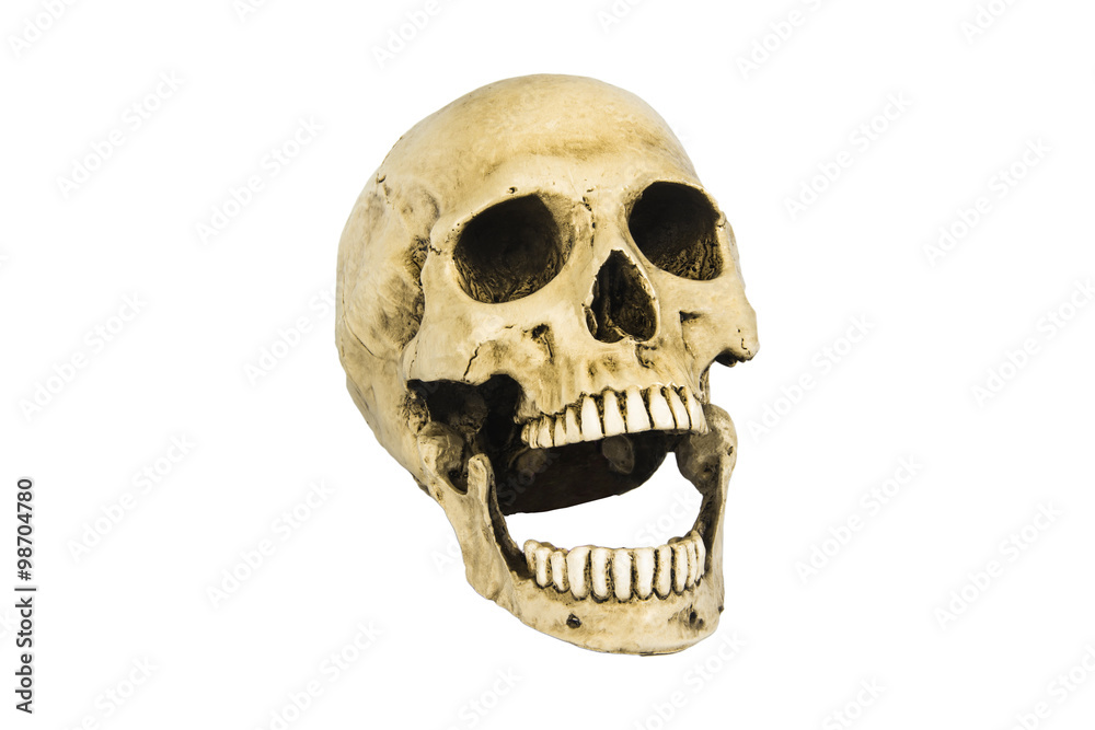 Fototapeta premium skulls on white background