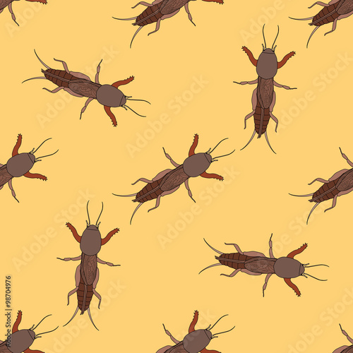 Seamless pattern with European mole cricket.  Gryllotalpidae.  hand-drawn  mole cricket . Vector © evgdemidova