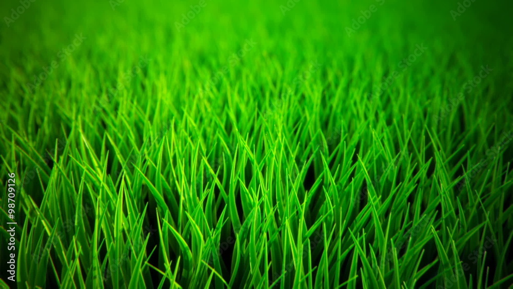 Infinite animation of pure green grass at the meadow. Closeup. Loopable. HD Infinite animation of pure green grass at the meadow. Closeup. Loopable. HD
