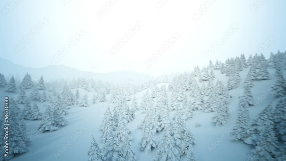 Animation of the white snowy landscape below the cloudless sky. Loopable. HD