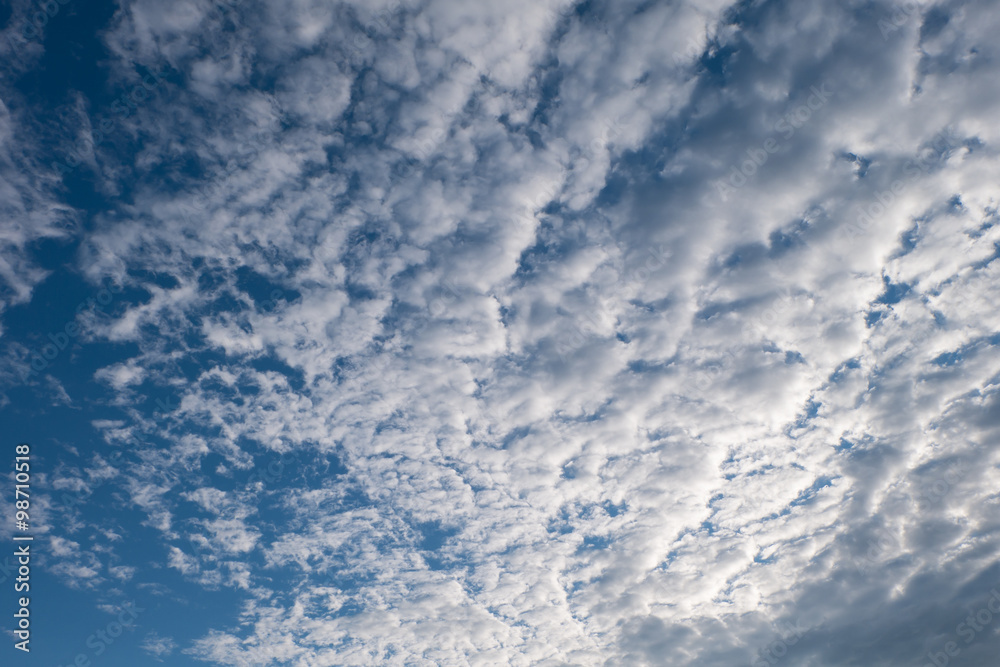 Altocumulus clouds and Blue sky