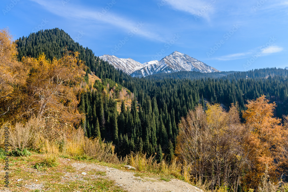 Autumn forest in the mountains, Almaty, Kazakhstan.