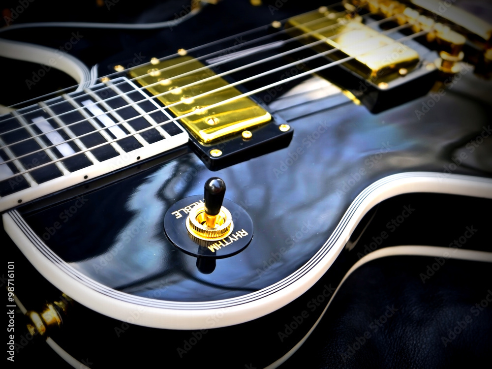 Fototapeta premium Fashion Electric Les Paul Guitar on Genuine Leather close-up 