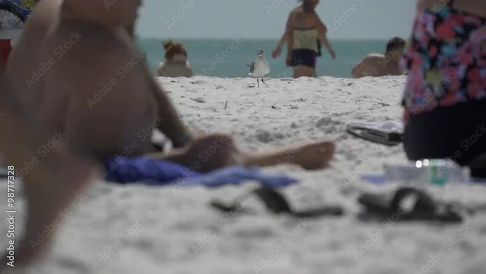 People enjoy a sandy beach on a sunny day People enjoy a sandy beach on a sunny day