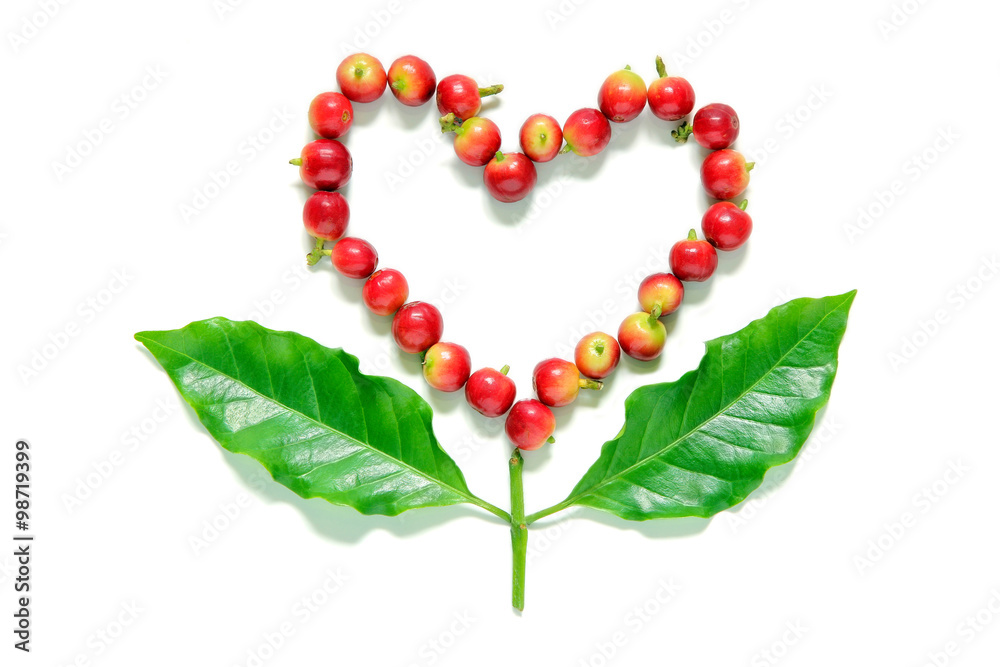 Red coffee beans berries in heart shape with coffee leaf on white background. Red coffee beans berries in heart shape with coffee leaf on white background.